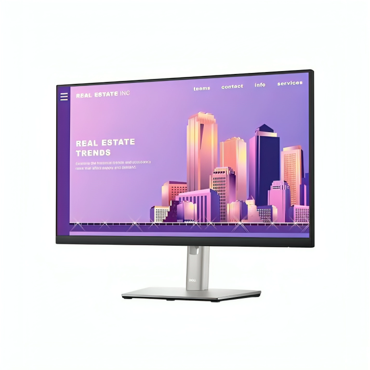 Dell 24" Inch P2422H Monitor [DisplayPort, VGA, HDMI, USB Ports]